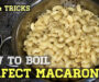 How to cook pasta | How to boil pasta | How to boil macaroni | perfect way to cook macaroni